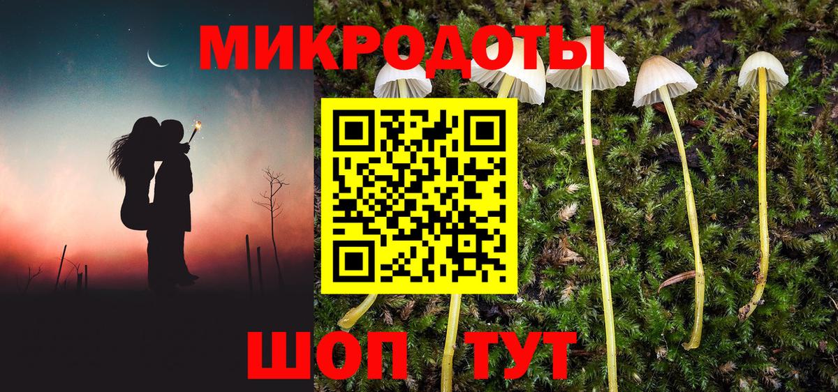 Галлюциногенные грибы Psilocybine cubensis Избербаш