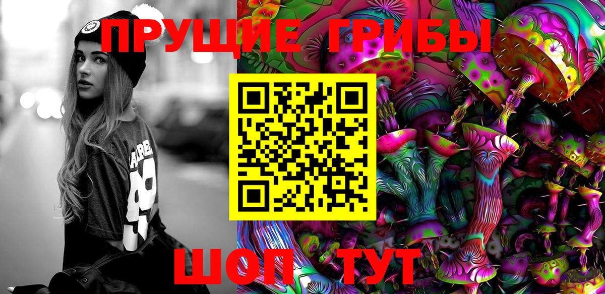 Галлюциногенные грибы GOLDEN TEACHER  Галлюциногенные грибы Magic Shrooms  Избербаш  цена   Вход с VPN 